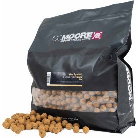 Kulki proteinowe CC Moore Live System 15mm - 5kg