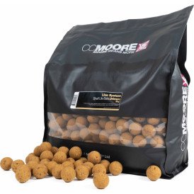 Kulki proteinowe CC Moore Live System 24mm - 5kg