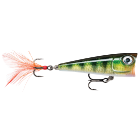 Popper Rapala X-Light Pop 4cm - Live Perch