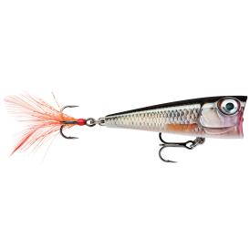 Popper Rapala X-Light Pop 4cm - Live Roach