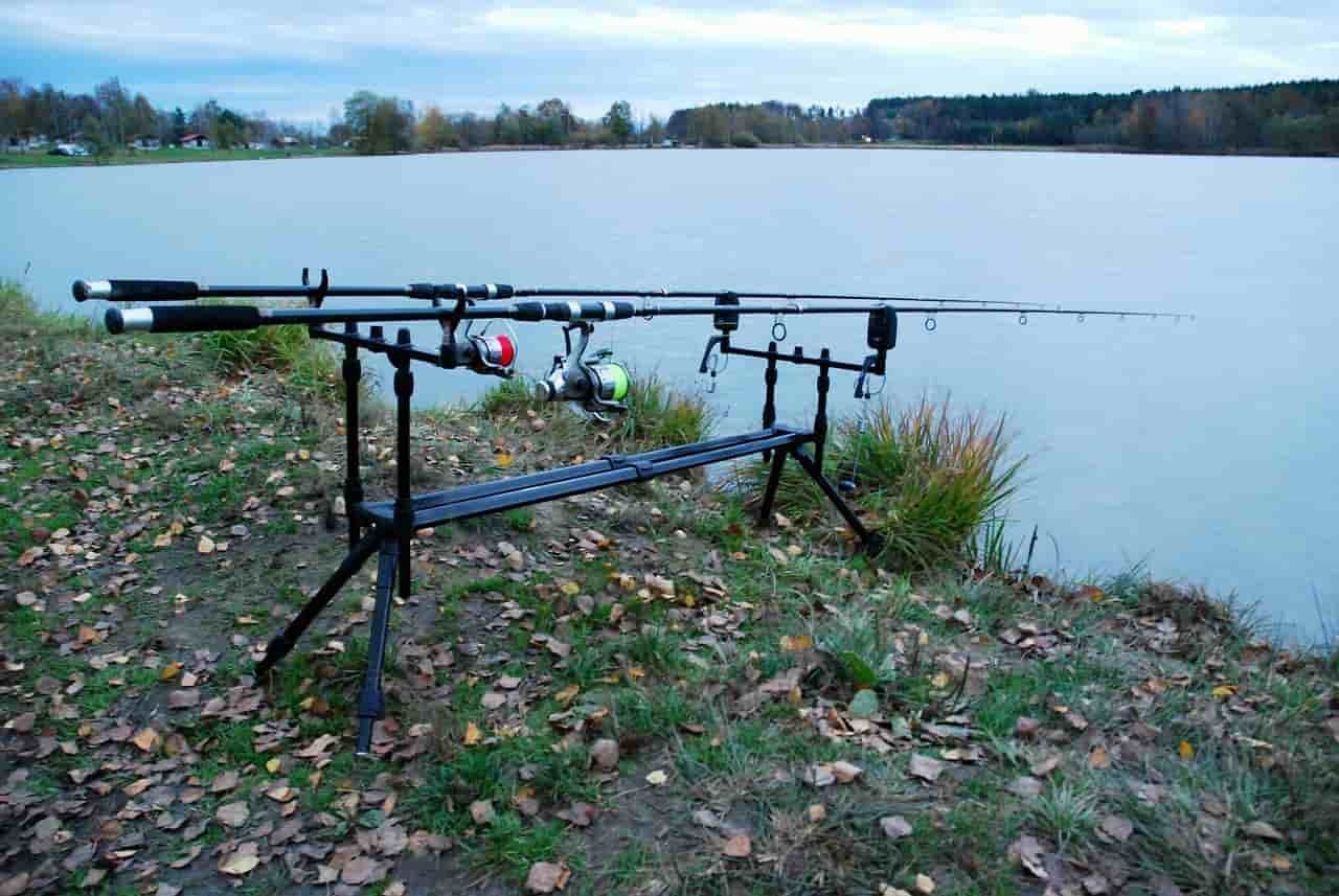 Feeder a Method Feeder - czym różnią się od siebie